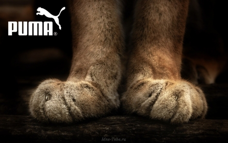 puma официальный сайт