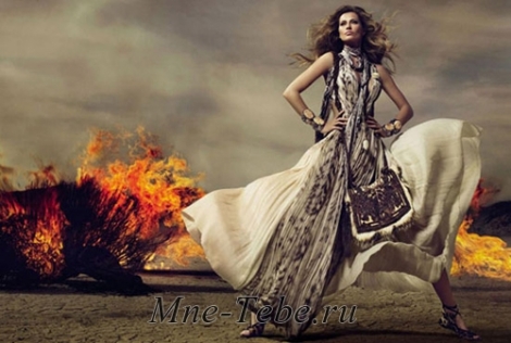 roberto cavalli